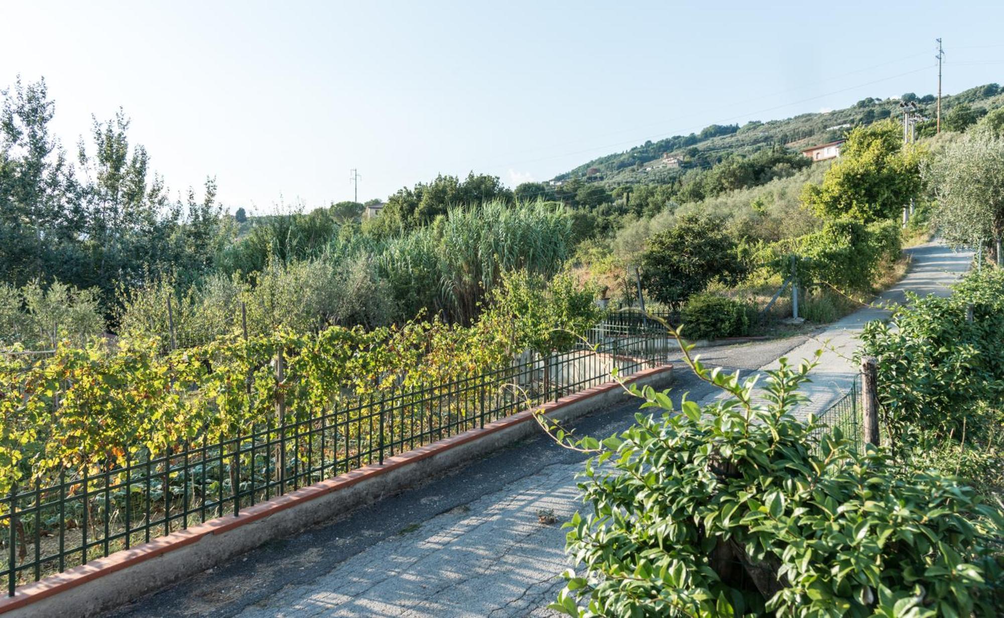 Fuga In Toscana Borgo a Buggiano Eksteriør bilde